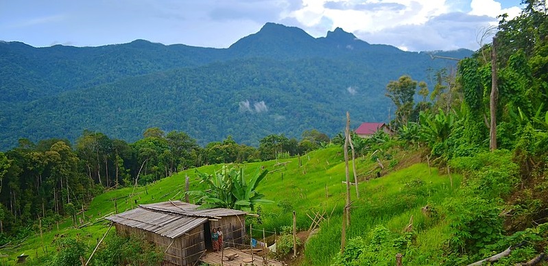 Ladang Dayak Rungkah Meratus, Kalimantan Selatan
